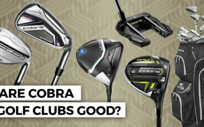 Are Cobra Golf Clubs Good And Worth Buying in 2024