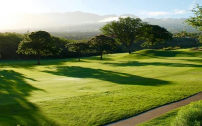 Why are Golf Courses Called links?