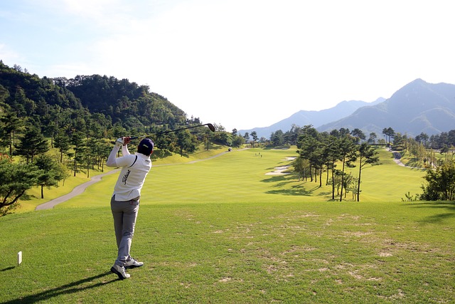 Best distance drivers for seniors